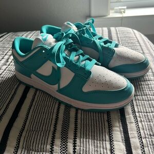 Nike Teal and White Dunks